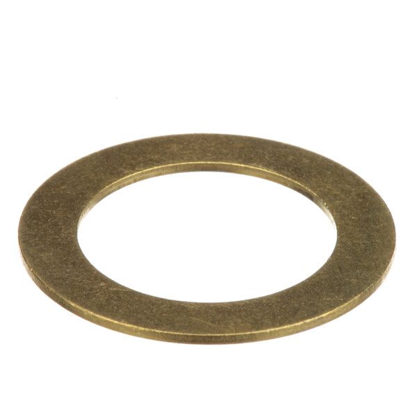 A close-up of a brass washer.