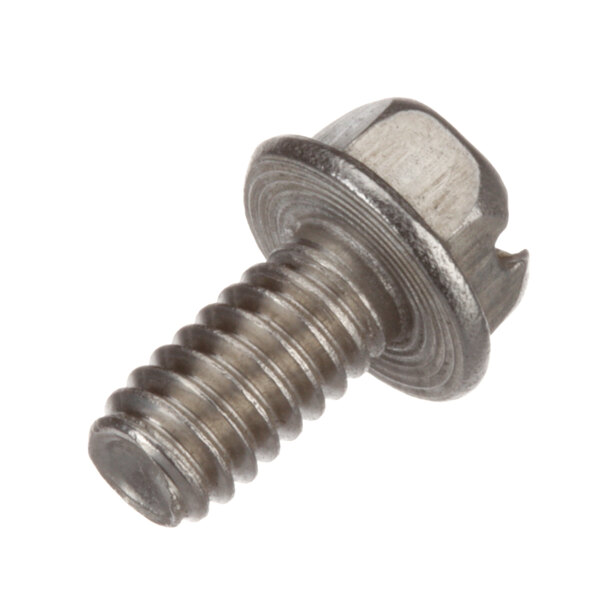 A close-up of a Champion metal screw.