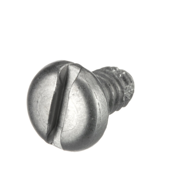 A close-up of a Vulcan screw with a metal head.