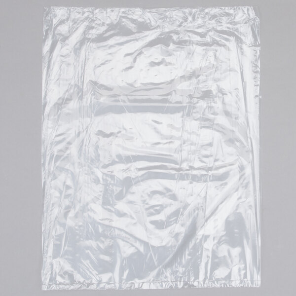 1000/Case Clear Ship Now Supply Flat 3 Mil Poly Bags 10 x 22 