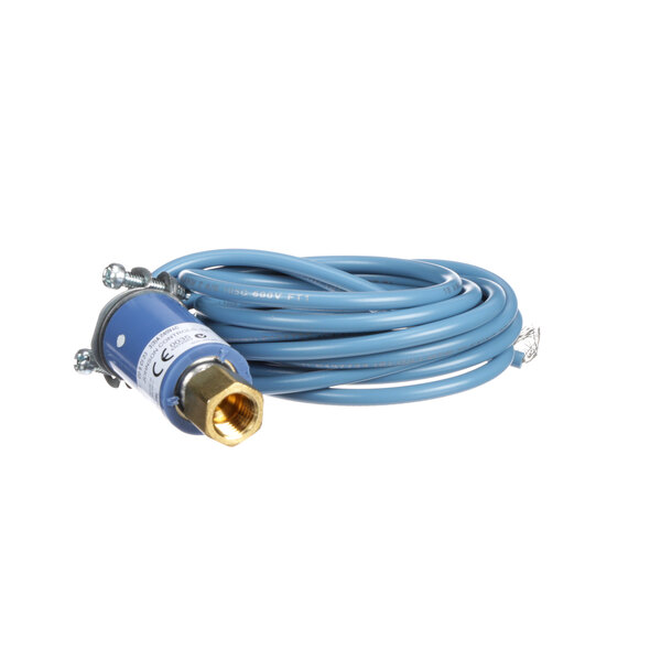 A blue hose with a gold connector.