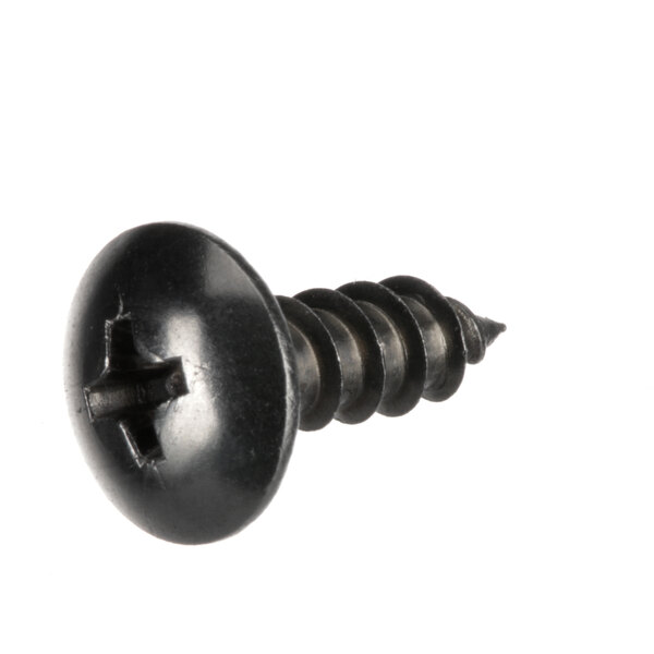 A close-up of a black Groen screw with a cross on the head.
