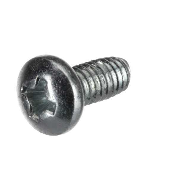 A close-up of a Hobart self-tapping screw.