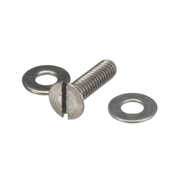 A Delfield 1/4-20x31/32 stainless steel screw and washer.