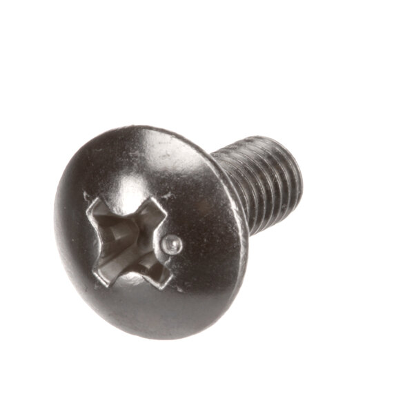 A close-up of a Hoshizaki truss head screw with a hole in it.