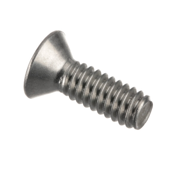 A close-up of a Randell bolt screw on a white background.