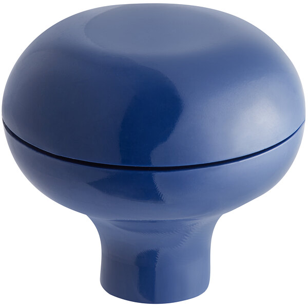 A blue round knob with a white background.