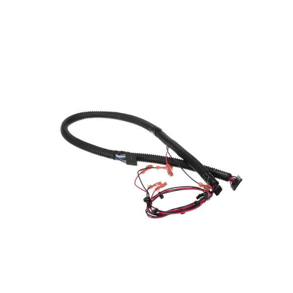 A black cable with red and black electrical wiring.