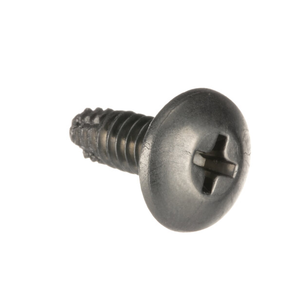 A close-up of a Hobart self tapping screw with a black head.