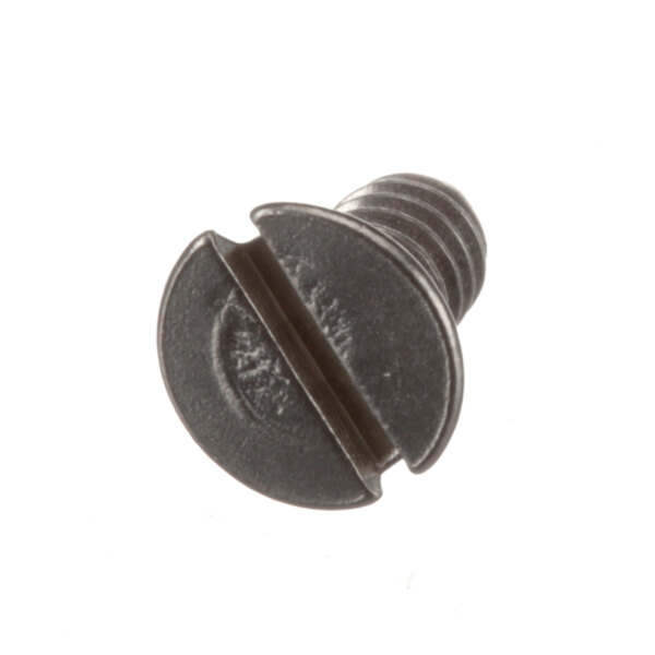 A close-up of a Berkel screw with a black head.