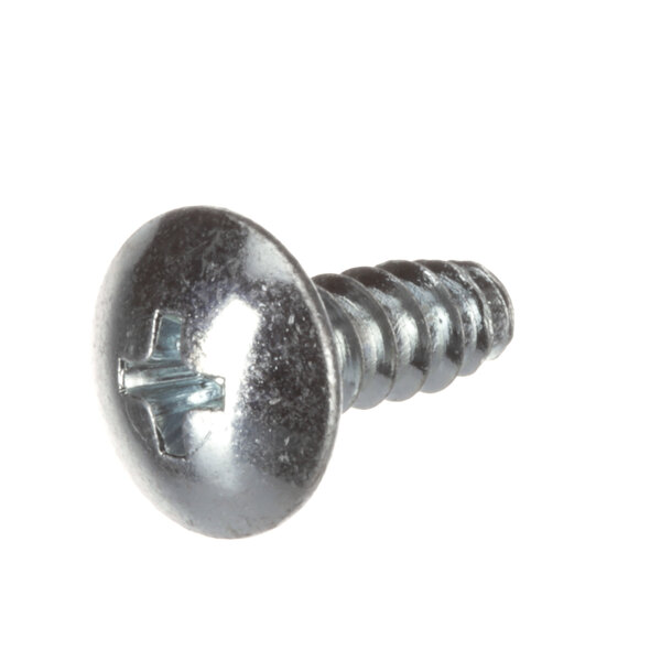 A close-up of a silver Garland screw.