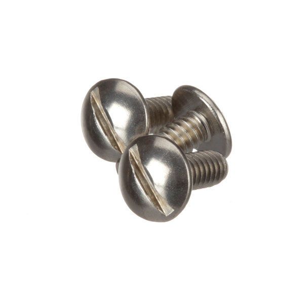 Two Vulcan stainless steel 10-24x screws with a close-up of a screw head.