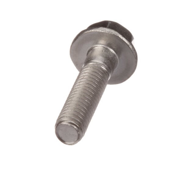 A close-up of an Alto-Shaam Truss Head Screw with a metal head.