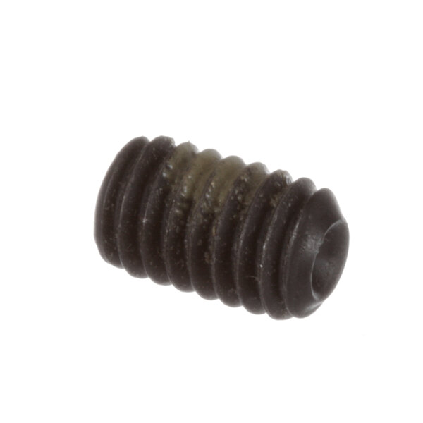 A close-up of a black Groen set screw.