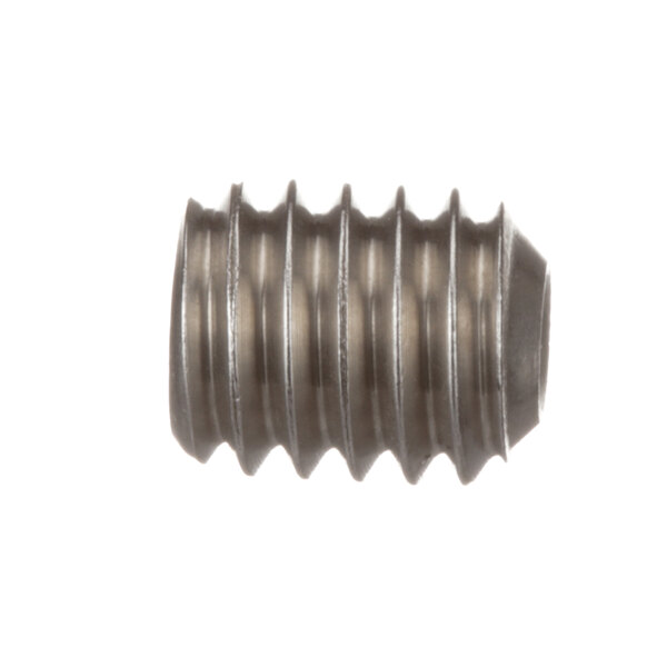 A close-up of a Crown Steam stainless steel set screw with an Allen hex drive.