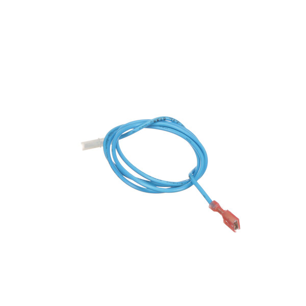A blue cable with a red connector.