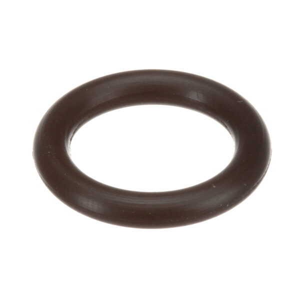 A black round o ring with a white background.