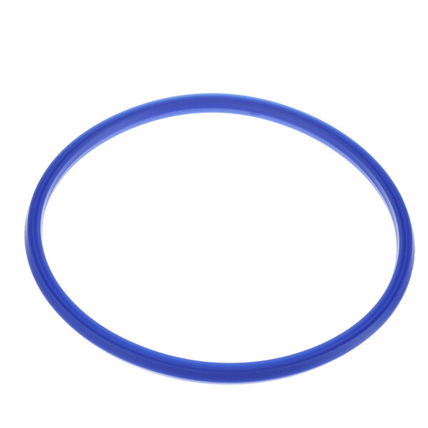 A blue rubber ring with a white circle.