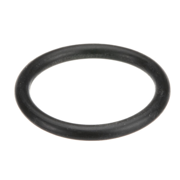 A black round Fagor Commercial O-Ring on a white background.