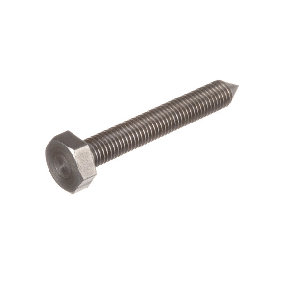 A close-up of a Henny Penny Hold Down Screw with a hex head.