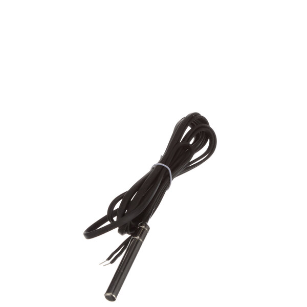 A black cord with a metal tip.