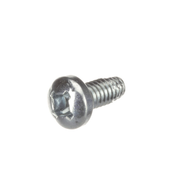 A close-up of a Cleveland F10 pan head screw.