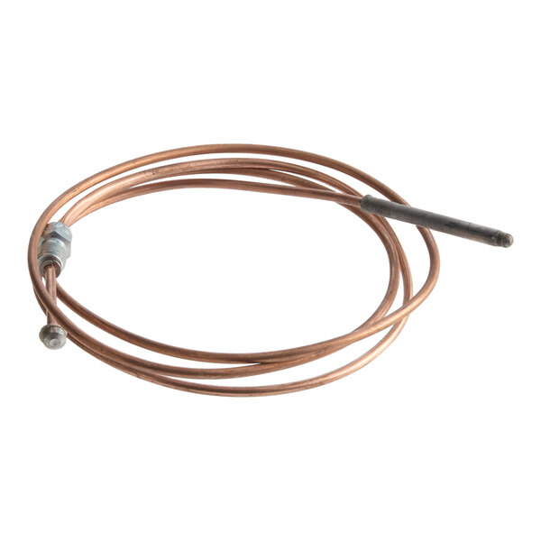 ドラパルトV SR 210 HP Blodgett 100653 Thermocouple