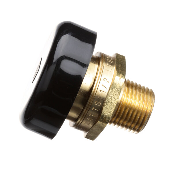 A close-up of a brass threaded pipe fitting with a black cap and brass nut.