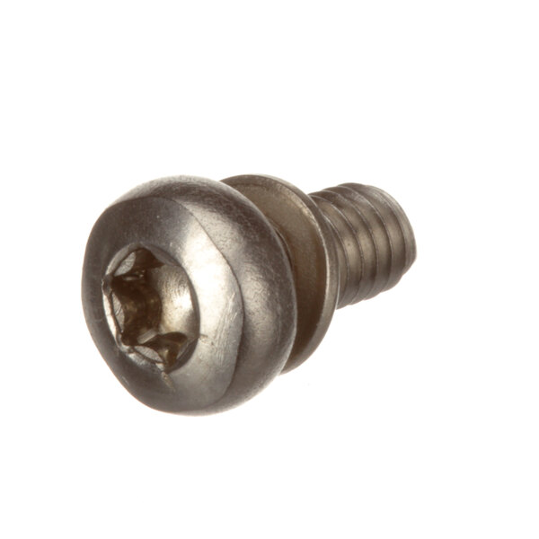 A close-up of a metal Henny Penny screw head.