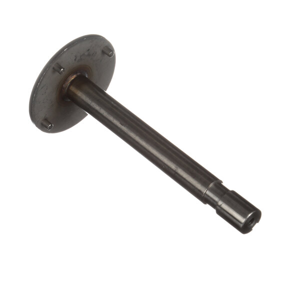 A metal rod with a round base and a black handle.