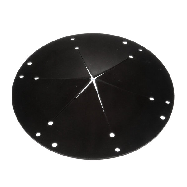 A black circular InSinkErator baffle with holes in it.