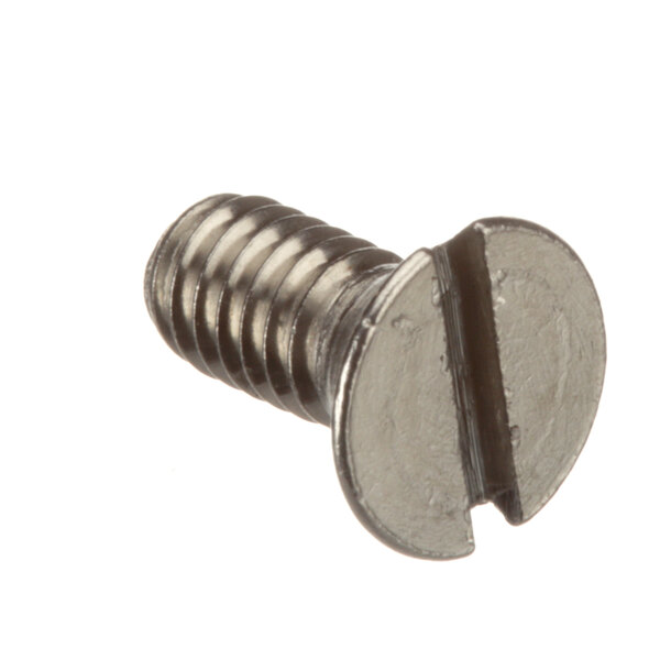 A close-up of a Globe metal head screw.