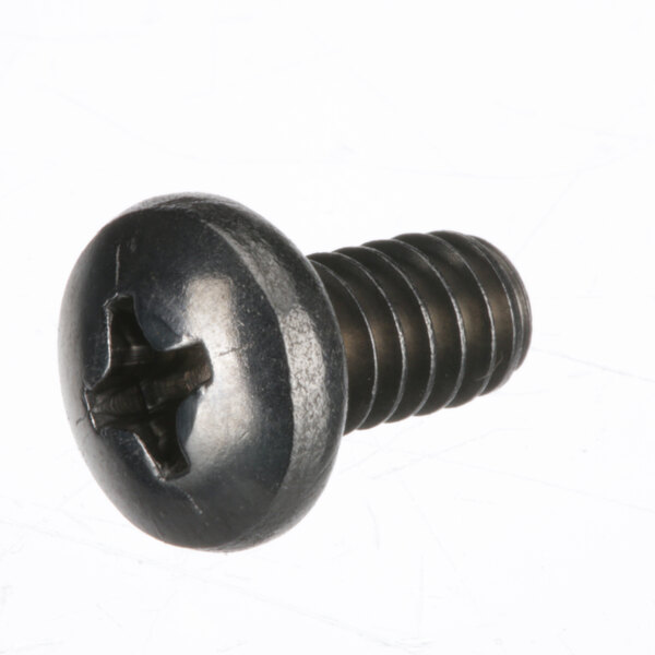 A black Hobart screw with a cross on it.