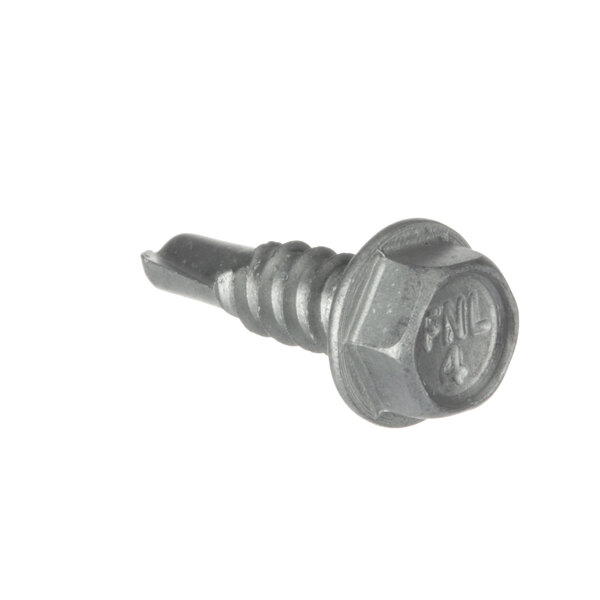 A close-up of a Middleby Marshall screw with a hex head.