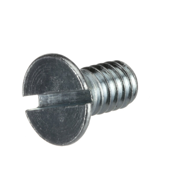 A close-up of a Hobart metal screw.