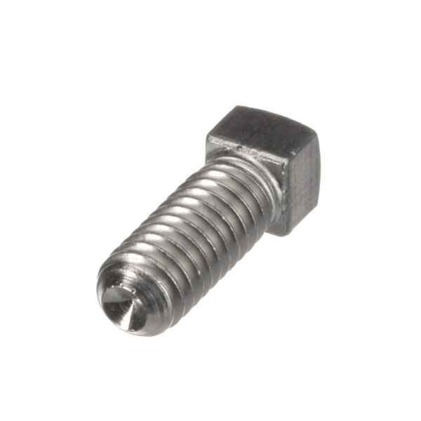 A Blakeslee set screw with a metal head.