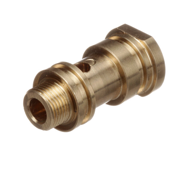 A close-up of a brass threaded connector for a Cleveland steam equipment condensate return.
