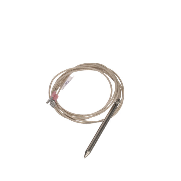 A Blodgett 23392 probe wire with a small metal point on it.