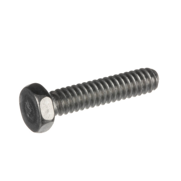 A close-up of a Hobart screw with a black head.