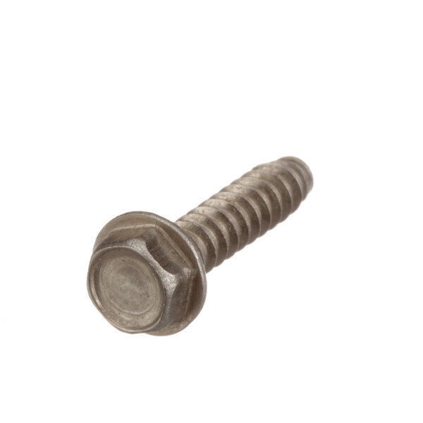 A close-up of a Lincoln hex head screw.