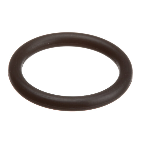 A black round Pitco o-ring.