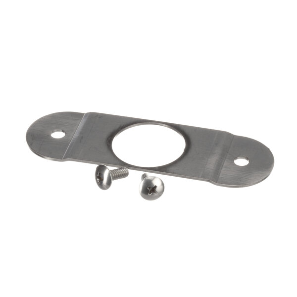 A stainless steel metal plate with a hole and screws.