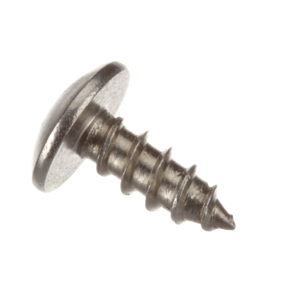A close-up of a SaniServ screw.