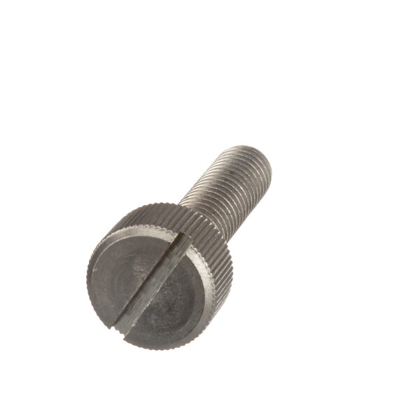 A close-up of a Middleby Marshall screw with a metal head.