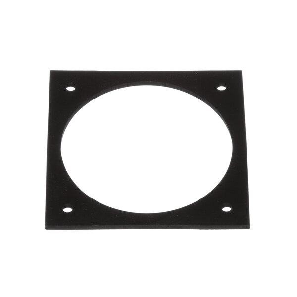 A black circle gasket with holes.