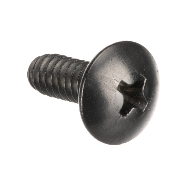 A close-up of a black screw with a star-shaped head.