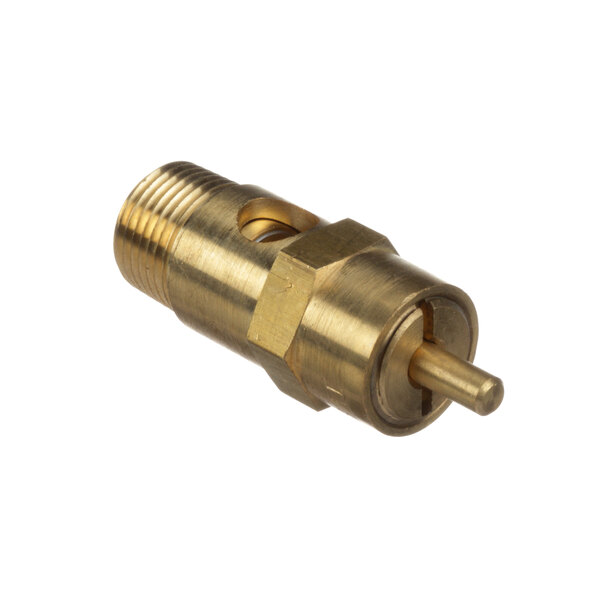 A close-up of a brass Groen pressure relief valve.