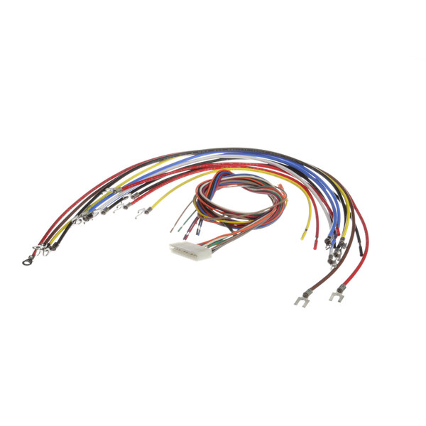 A group of colorful wires connected to a white Cleveland edge connector.