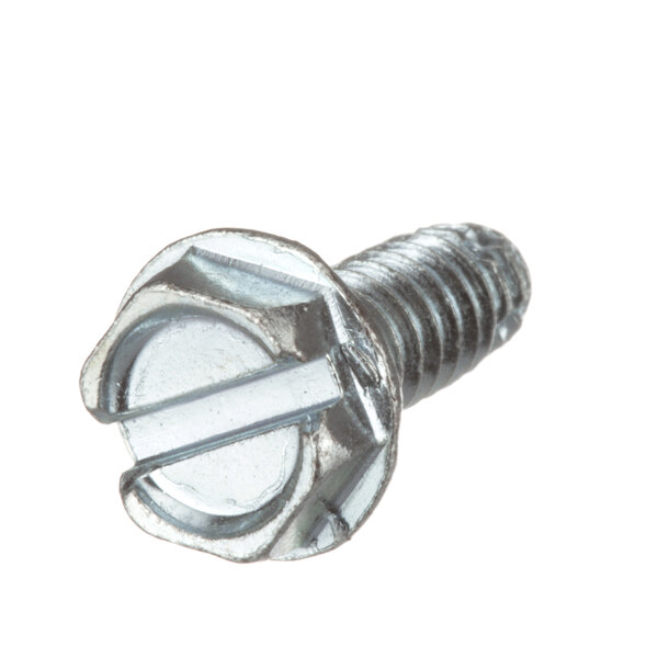 A close-up of a Pitco screw with a metal head.