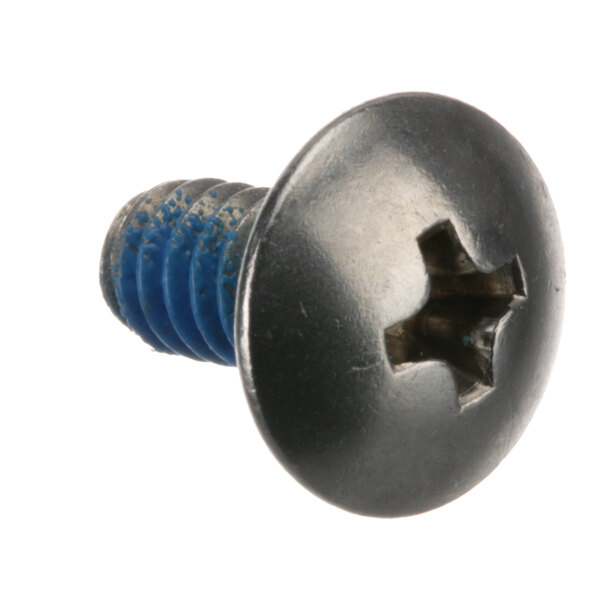 A close-up of a Victory screw with a blue star on it.